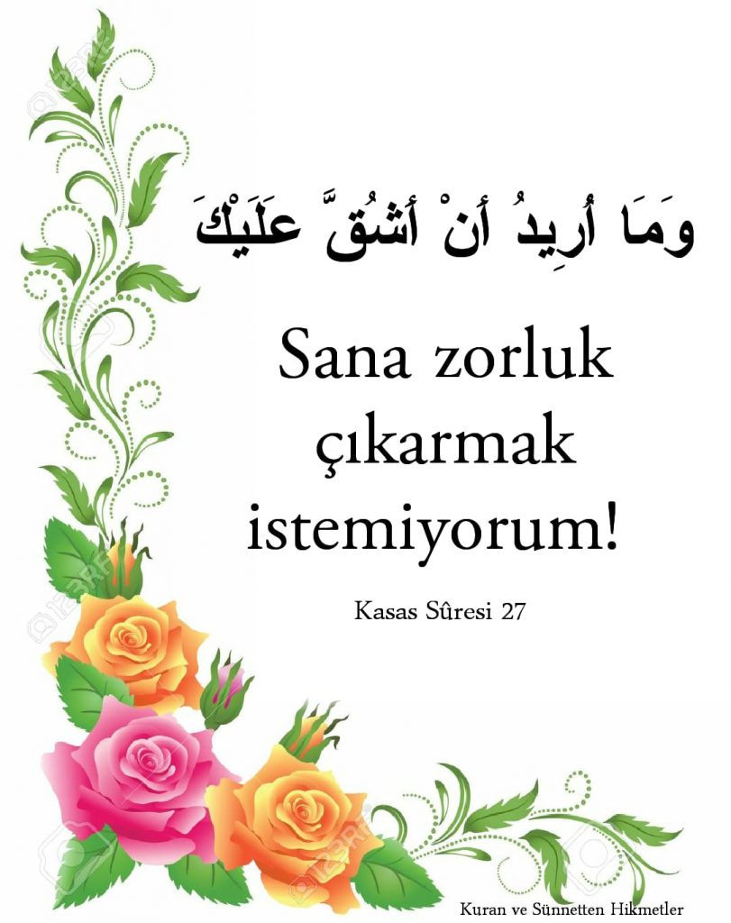 Sana zorluk çıkarmak istemiyorum